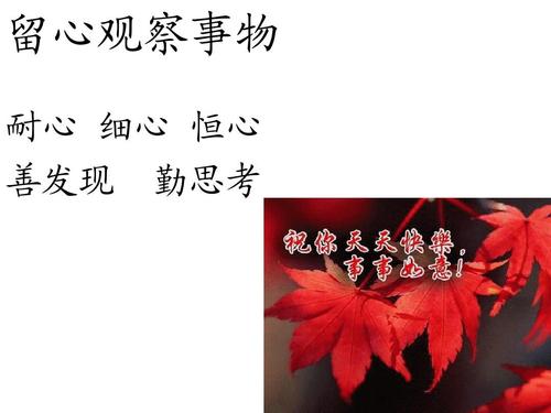 努力思考，学好_650个单词