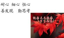 勤思考，善学习_650字