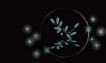 令我怀念的一刻