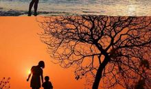 生活因父爱而精彩