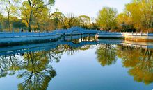 人生何处无风景