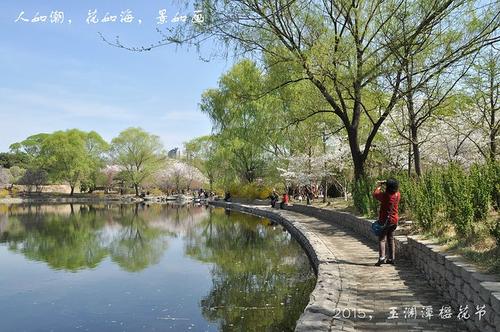 美丽的豫园潭公园