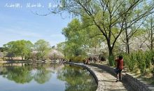 美丽的玉渊潭公园