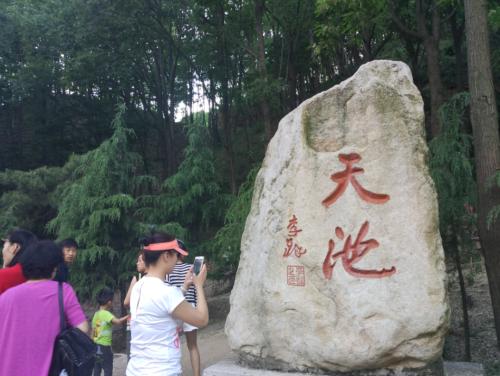 小虎，美丽的encounter