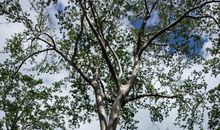 最是那一抹微笑