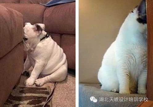 搞笑捉迷藏