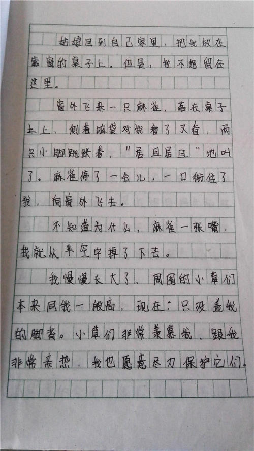 如果我是种子