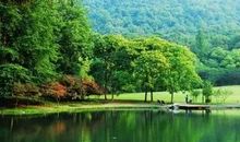 越来越沉静的我