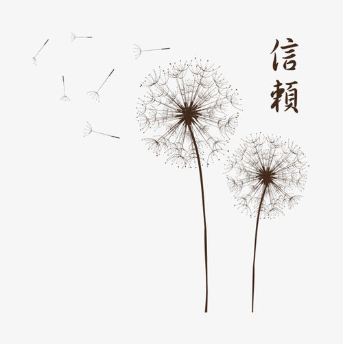 梦想的蒲公英