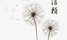 承载梦想的蒲公英