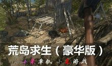 荒岛生存记