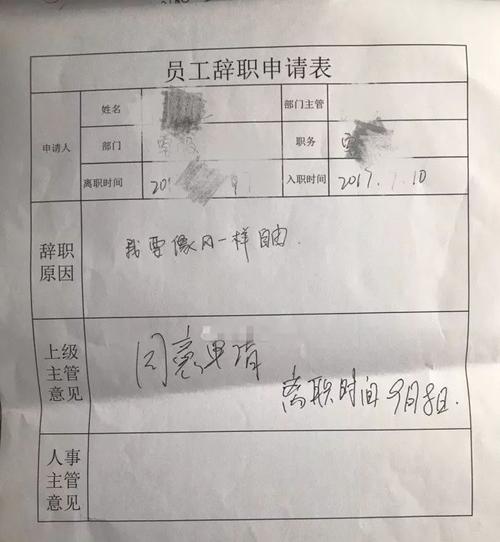 自由辞职信如风