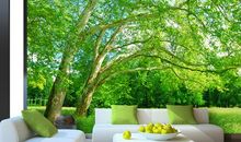 让绿色成为理想