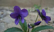 今年春天我很感动