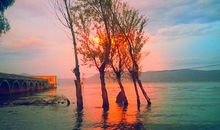 那片海滩，让我驻足