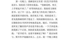 自我介绍的作文400字