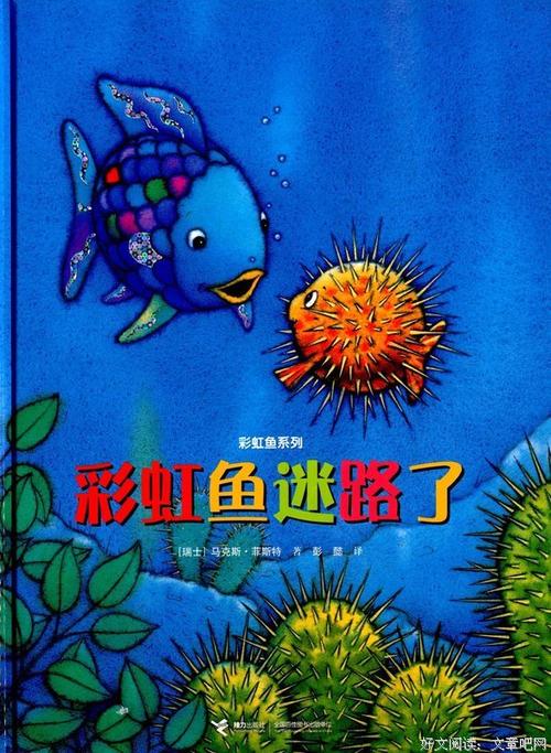 看完鱼后寻找逆流的梦想