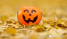 我爱北京浓浓的秋