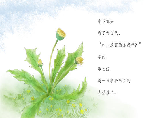 蒲公英的旅程