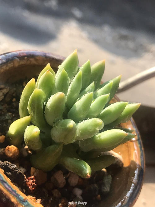 赶上时间的尾巴