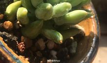 抓住时间的尾巴