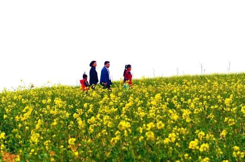 春天的礼物是欢乐的春天郊游