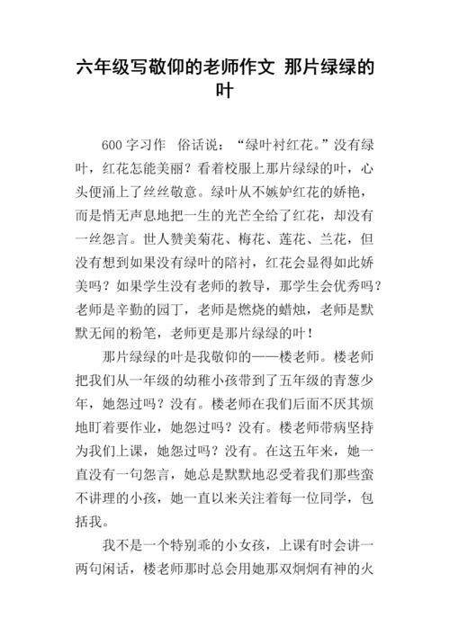 写老师的作文