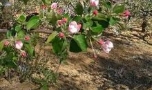 阳光照在心坎上