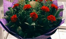 写给我未来的孩子