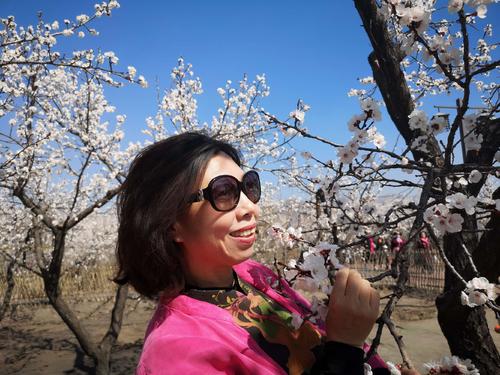 大雁海滩的四个季节