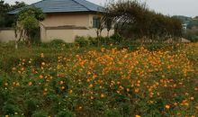 快乐的乡下时光