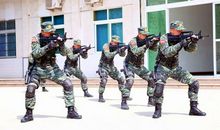 难忘的一次研学之旅