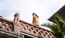 简简单单的生活