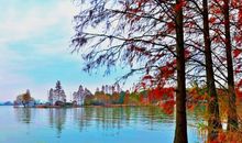 游东湖落雁景区