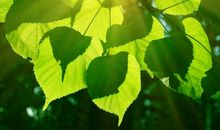 关爱是一缕阳光