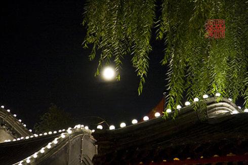 黄昏之后，月球上的柳树