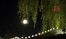 月上柳梢头，人约黄昏后