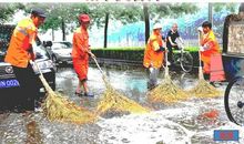 城市“美容师”