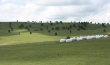 我的家乡——内蒙古