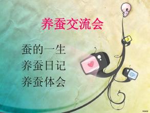 蚕桑交流会