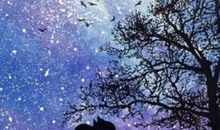 那一次我学会了珍惜