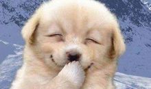 这件事，让我哈哈大笑