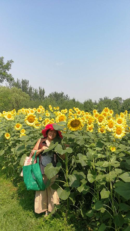 公园的四个季节