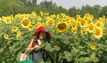 公园的一年四季