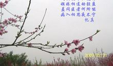 跟着古诗赏春天