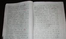 小海龟历险记作文三年级