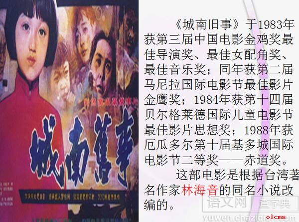 爸爸的花有点练习