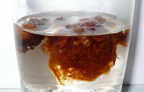 胖海组成
