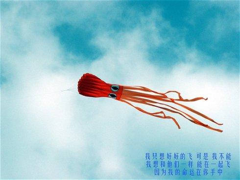 抬头看着我心中的风筝