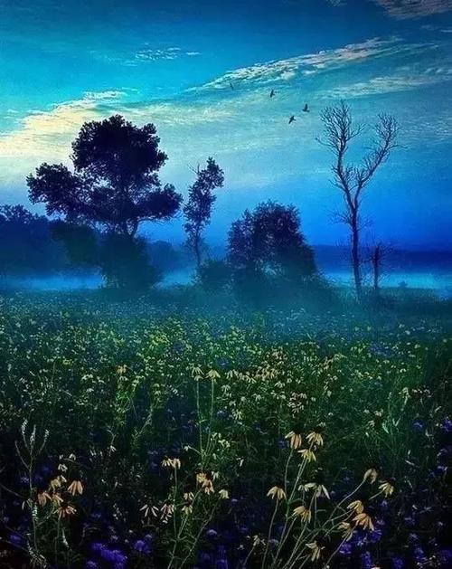 人生因梦想而美丽